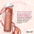 Óleo Restaurador - Bio Oil 60ml - comprar online