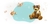 Banner rotativo 2