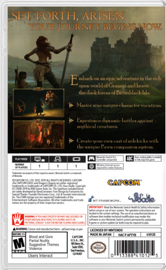Dragon’s Dogma: Dark Arisen en internet