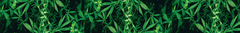 Banner de la categoría Entretenimiento