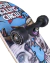 Skate Lion Rolling Circus Completo en internet