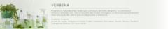 Banner da categoria VERBENA