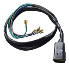 Ficha Ford Cargo / Volkswagen Faro Trasero