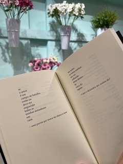 Livro A Princesa Salva a Si Mesma Neste Livro - Trama