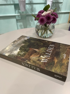 Livro Walden