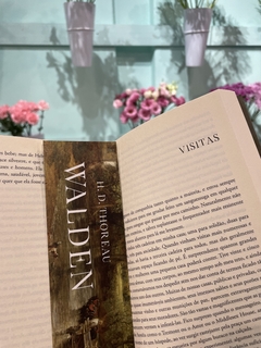 Livro Walden - Trama