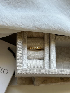 Anel trançado com zirconias dourado na internet