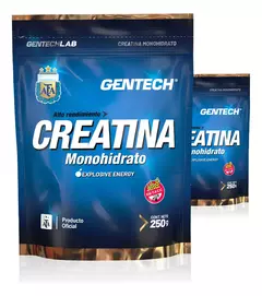 Creatina Monohidrato Gentech En Polvo Suplemento X 250 G - comprar online