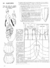 PATRONAJE & MODA TOMO 2 PDF