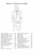 ABC patronaje de LENCERIA FEMENINA & ROPA DE HOMBRE - tomo IV -PDF en internet