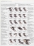 MANUAL COMPLETO DE COSTURA -PDF