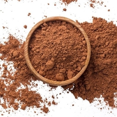 Cacao Amargo Alcalino x 100gr - Fenix - comprar online