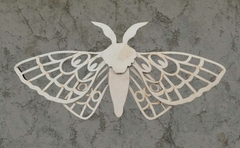 Mariposa