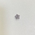 Estrela