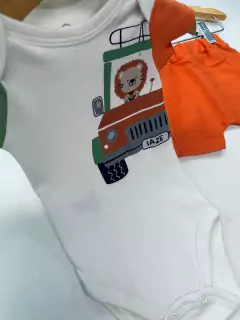 CONJ. LEÃO JIPE na internet