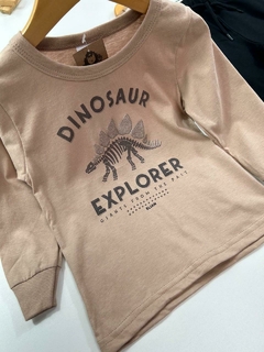 CONJ. DINOSSAURO EXPLORER na internet