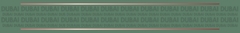 Banner da categoria Dubai