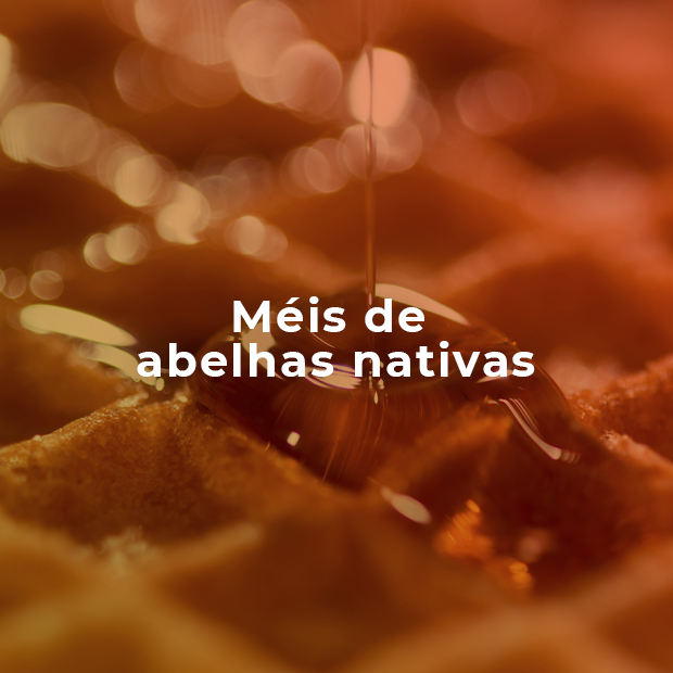 Banner de Peabiru Produtos da Floresta