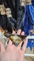 Chalina bijou (negra) en internet
