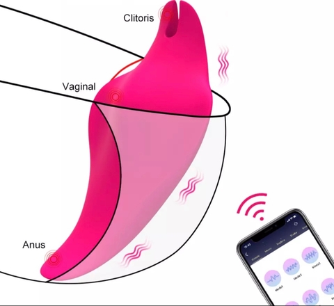 VIBRADOR DE CALCINHA POR APLICATIVO