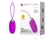 CAPSULA VIBRATORIA