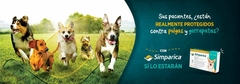 Banner de la categoría PEQUEÑOS ANIMALES