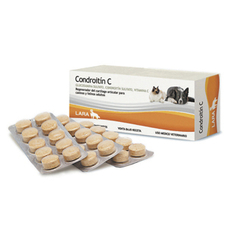 CONDROITIN C Rio de Janeiro Caja x 120 Comprimidos