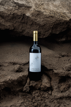 Degustación y maridaje vinos Julian Cavalín en internet