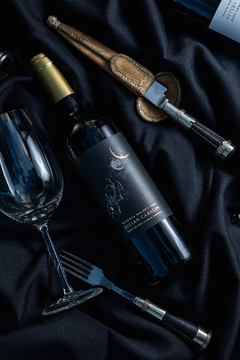 Degustación y maridaje vinos Julian Cavalín - cavas del algarrobal