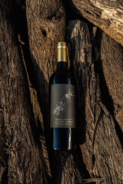 Degustación y maridaje vinos Julian Cavalín - tienda online