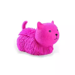 Shaky Friends Gatito en internet