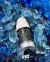 GEL ANAL CLIV INTT BLACK 17G INTT