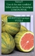 LEMON PINK O LIMONERO ATIGRADO/variegado ( solo con envio)