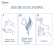 DOVE Shampoo largos fuertes y flexibles x 400 ml - AROMAS PERFUMERIA