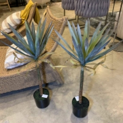 PLANTA "PALMERA" CHICA