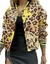 Boomber print - tienda online