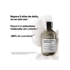 Shampoo Absolut Repair Molecular L'Oreral Professionnel 300ml en internet