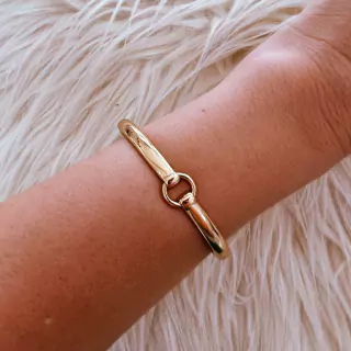 Bracelete Dourado com circulo Regina