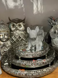 MINI BULLDOG STRASS - comprar online