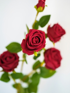 BARA DE ROSAS - comprar online