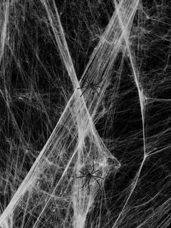 TELA DE ARAÑA - comprar online