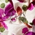 Aros Melody - comprar online