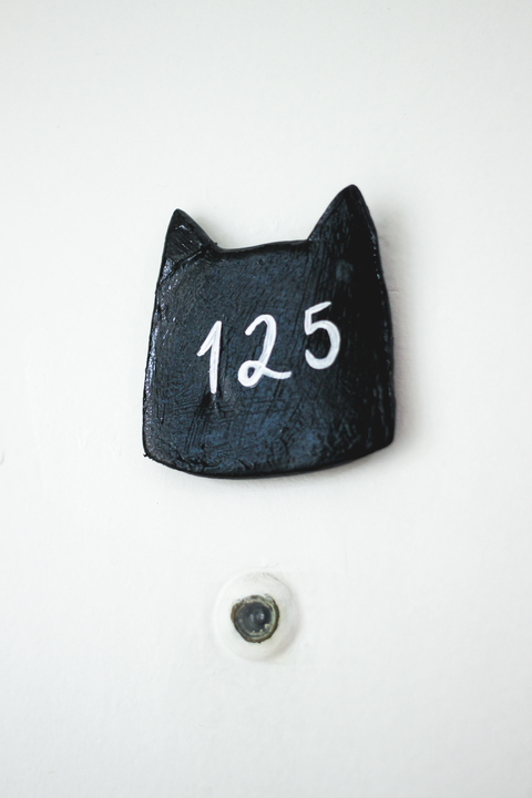 Gatinho número para porta