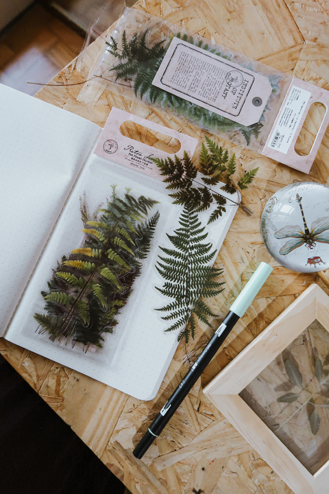 20 Adesivos transparentes “Samambaias”