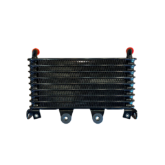 Radiador De Aceite Bmw R1200 Ninet
