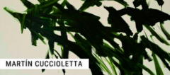 Banner de la categoría MARTÍN CUCCIOLETTA