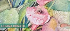 Banner de la categoría Liliana Donato