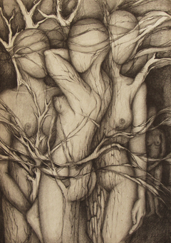 Tres Mujeres / Grafito / 50 x 35 cm.