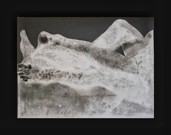 Serie "Vivencias" / 2011 / Monotipia / 51 x 70 cm.