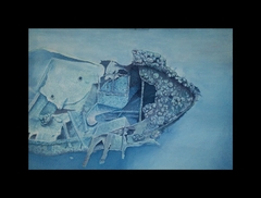 Pecio Colón / 2021 / Acuarela / 32,5 x 22,5 cm.